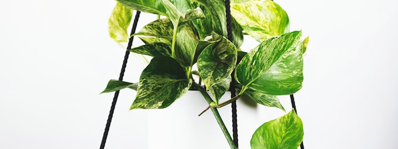 英格兰与德国队历史交锋数据图 - 柱状图展示胜负记录